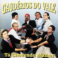 Gaudérios Do Vale's avatar cover