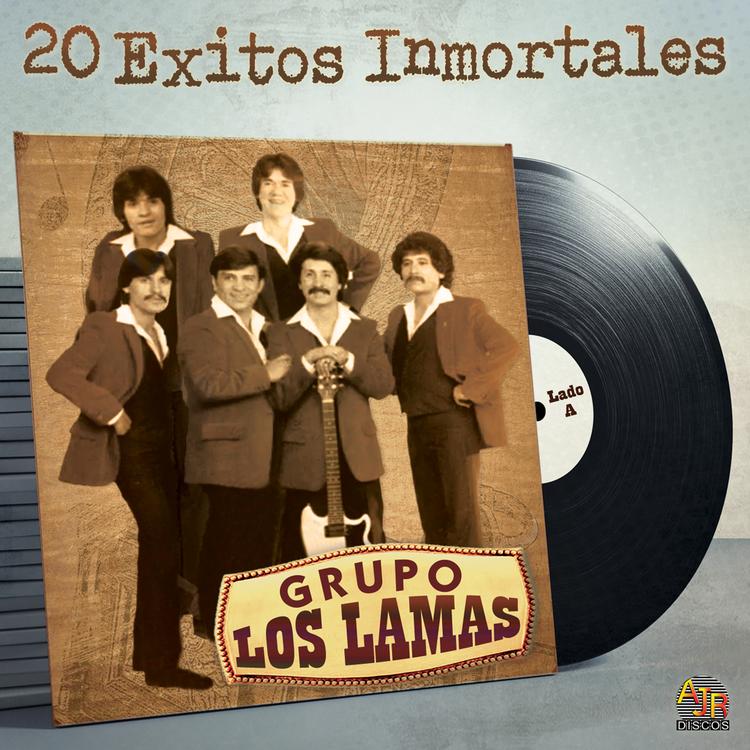 Grupo Los Lamas's avatar image