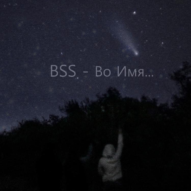 BSS's avatar image