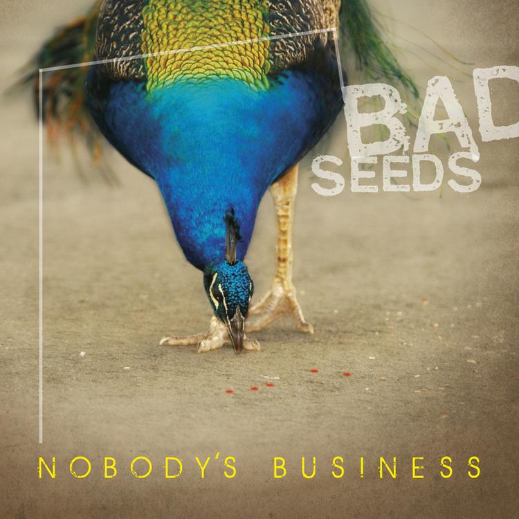 Nobody's Business's avatar image