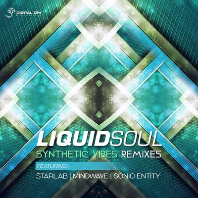 Synthetic Vibes By Liquid Soul, Sonic Entity's cover