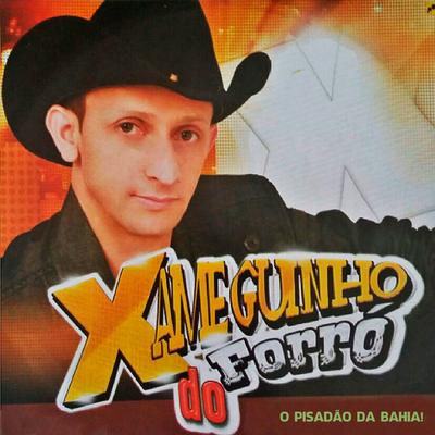 Xameguinho do Forró's cover