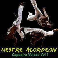 Mestre Acordeon's avatar cover
