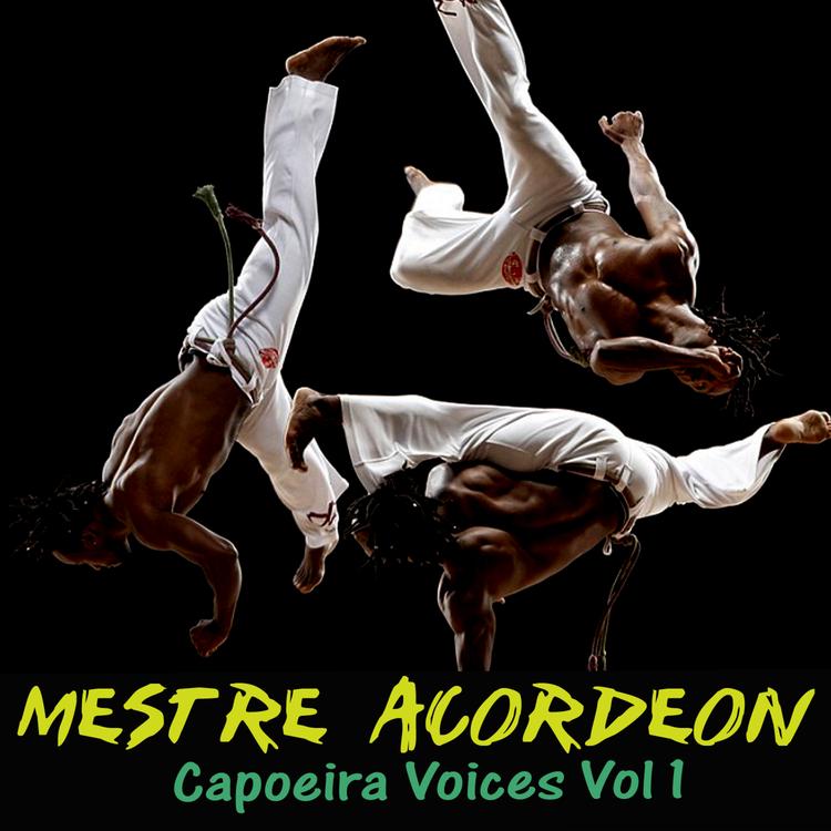 Mestre Acordeon's avatar image