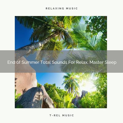 End of Summer Total Sounds For Relax, Master Sleep By Ocean Waves For Sleep, Sleep Baby Sleep, White Noise Healing Center's cover