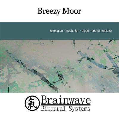 Breezy Moor By Brainwave Binaural Systems's cover