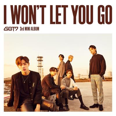 I Won't Let You Go (Complete Edition)'s cover