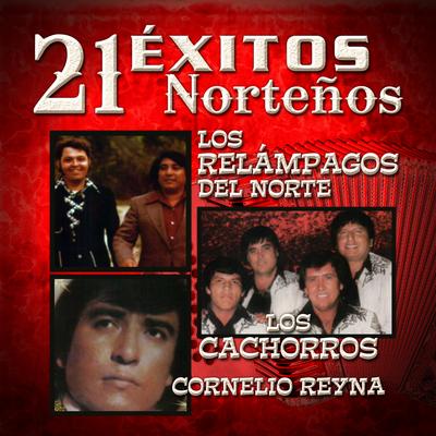 21 Exitos Nortenos's cover