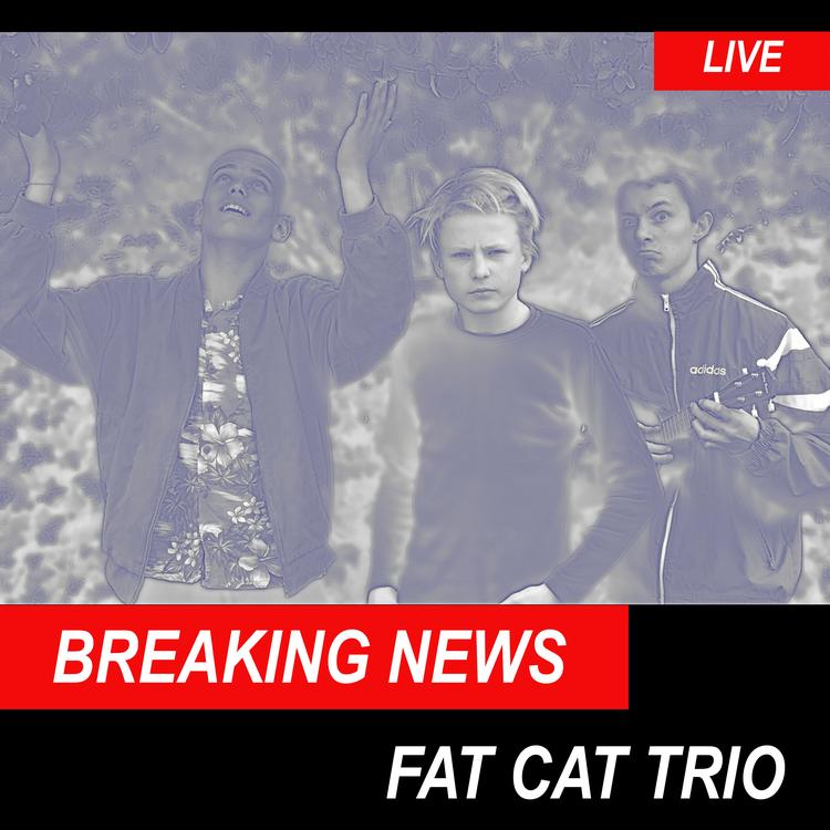 Fat Cat Trio's avatar image