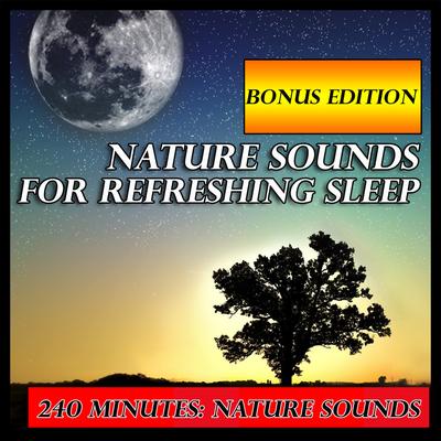 Crackling Log Fire on a Stormy Night: Sounds of Nature By Nature Sounds's cover