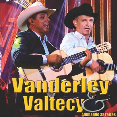 Vanderley e Valtecy's cover