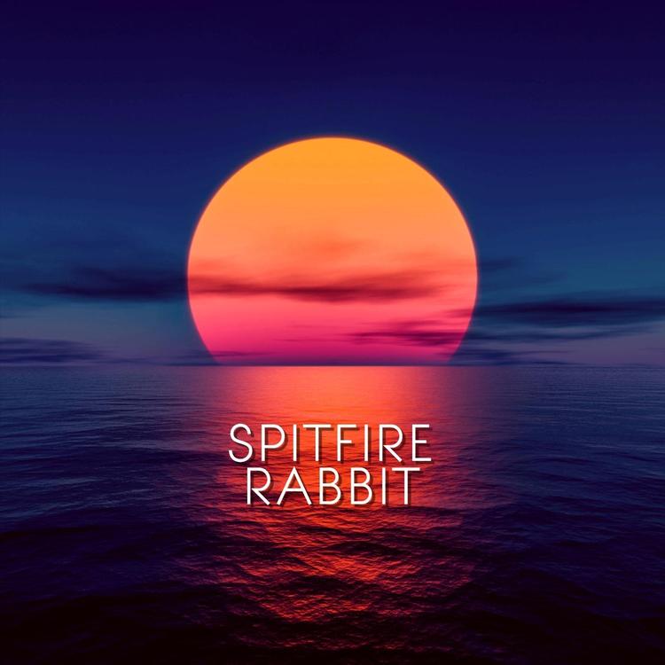 Spitfire Rabbit's avatar image