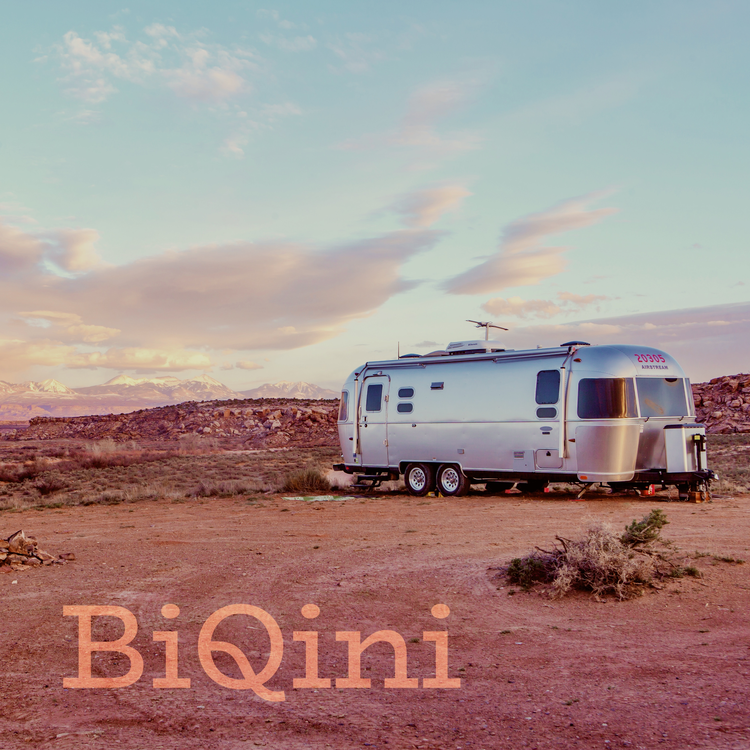 BiQini's avatar image