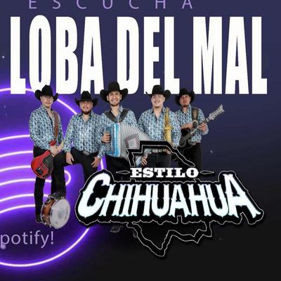 Estilo Chihuahua's cover