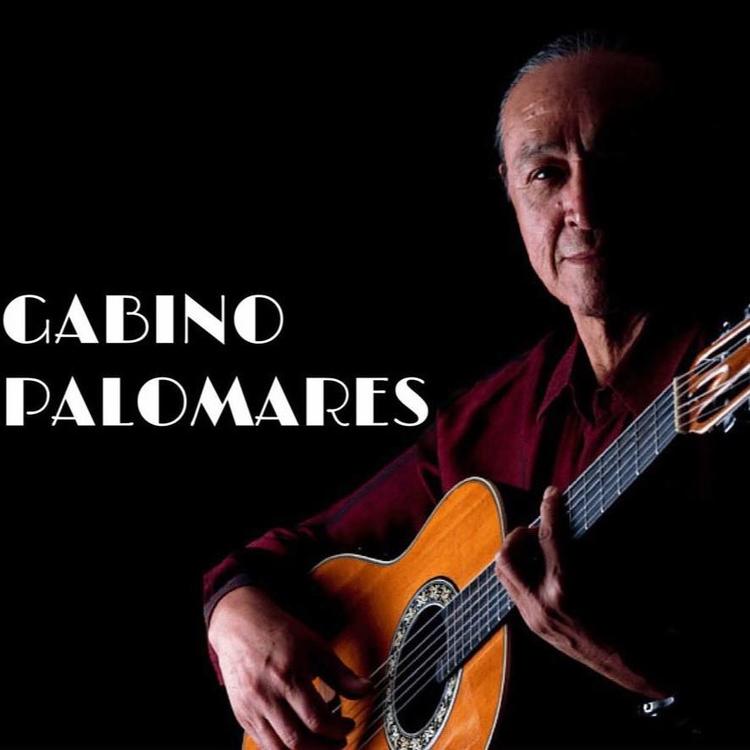 Gabino Palomares's avatar image