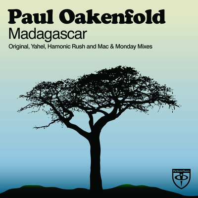 Madagascar (Yahel Remix) By Paul Oakenfold's cover