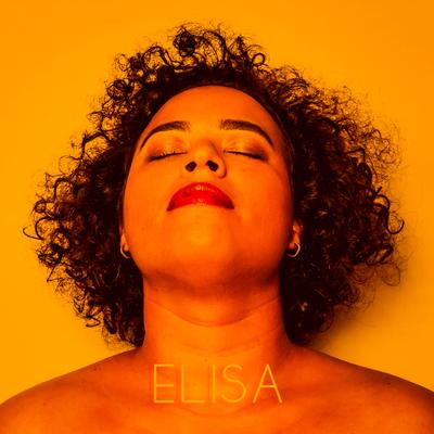 Sinais By Elisa Fernandes's cover