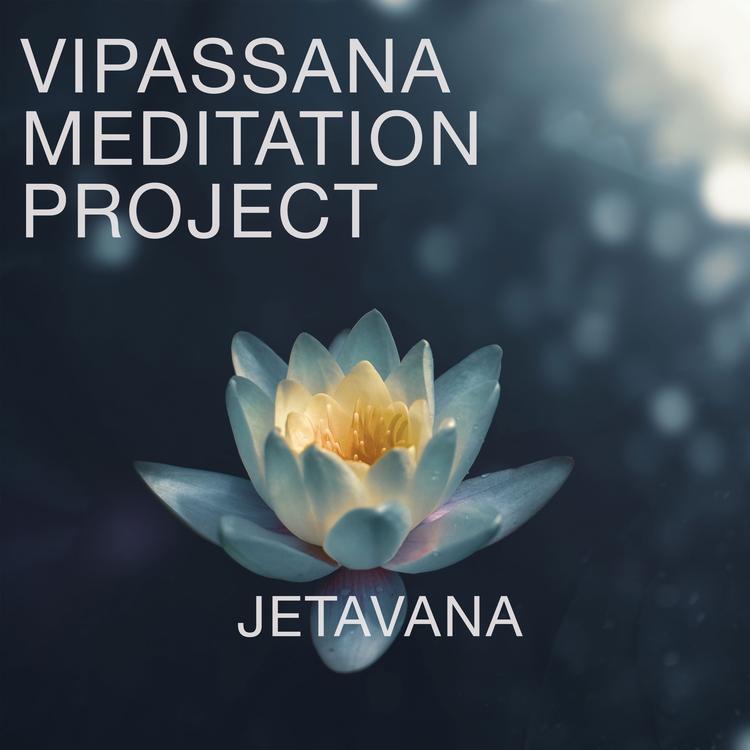 Vipassana Meditation Project's avatar image