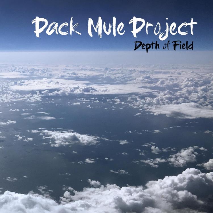 Pack Mule Project's avatar image