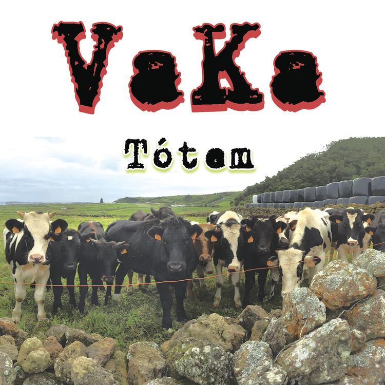 VaKa's avatar image