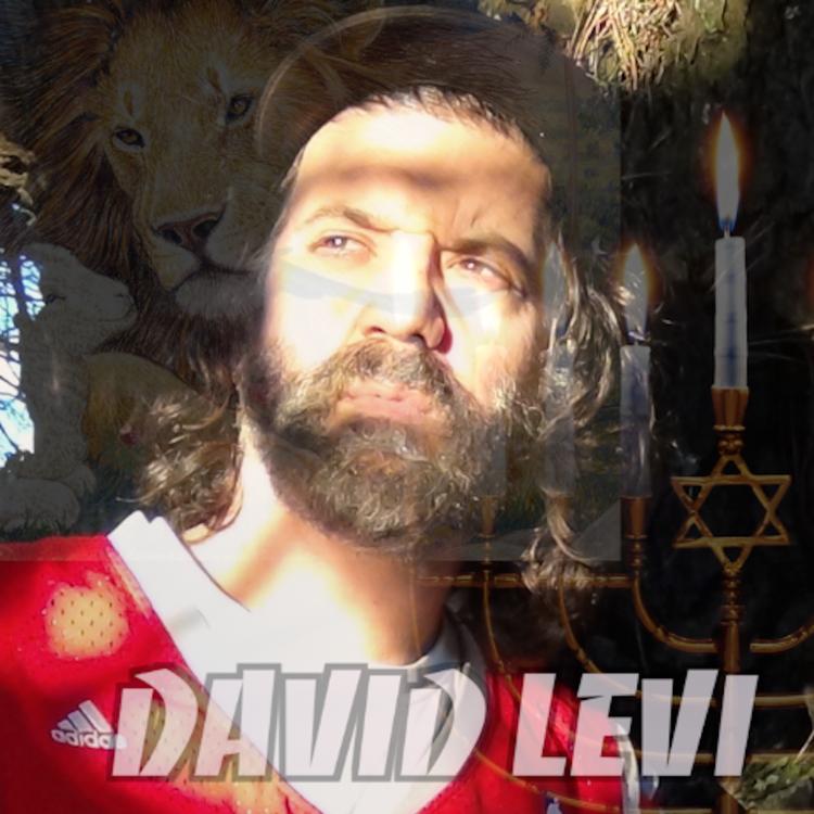 David Levi's avatar image