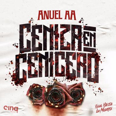 Ceniza En Cenicero By Anuel AA's cover