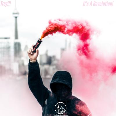 It's A Revolution! (Original Mix)'s cover