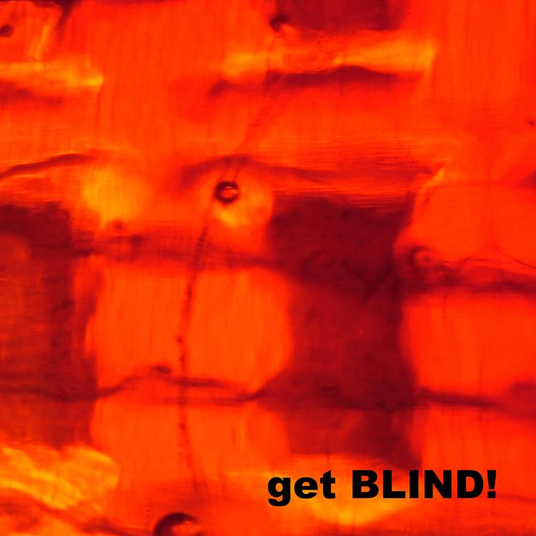 BlindInTheBrain's avatar image