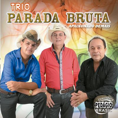 Amor Mentira By Trio Parada Bruta's cover