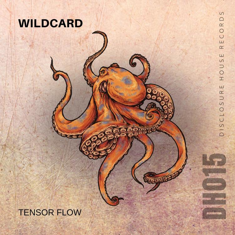 Wildcard's avatar image