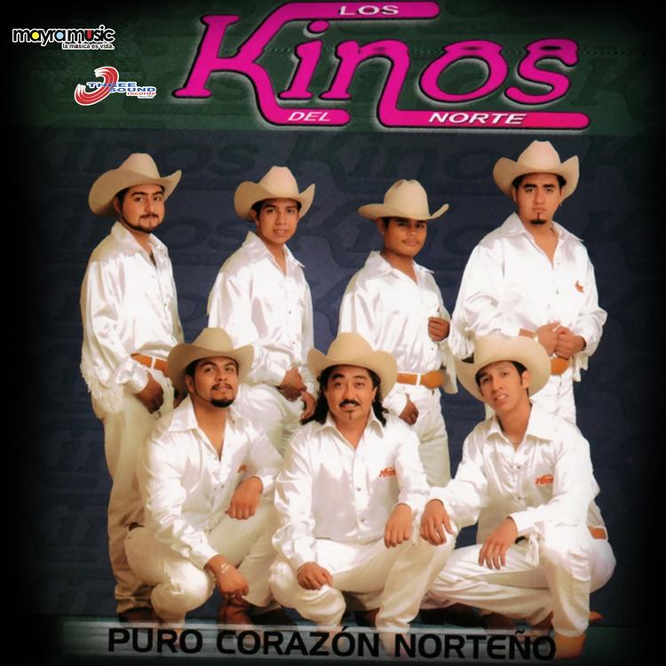 Los Kinos Del Norte's avatar image