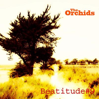 Beatitude #9's cover