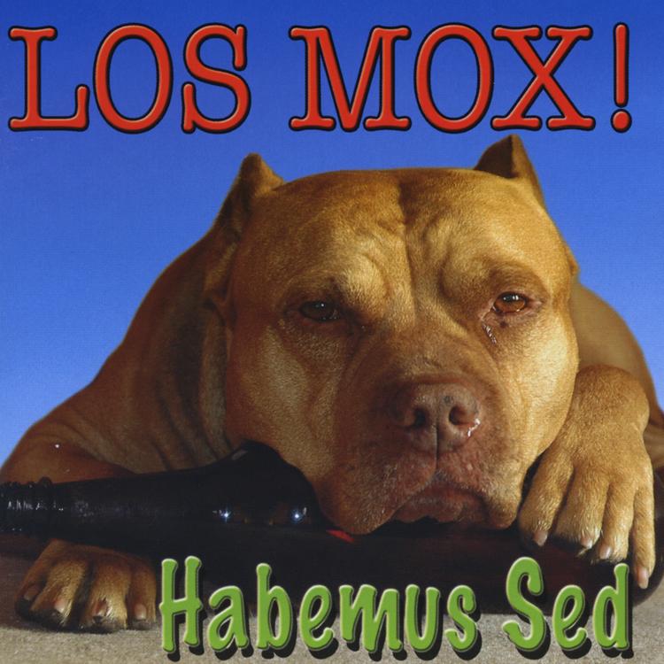 Los Mox!'s avatar image