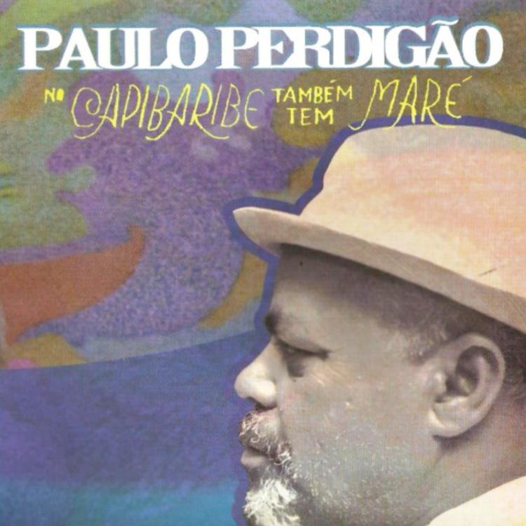 PAULO PERDIGÃO SONORAS BATUCADAS's avatar image