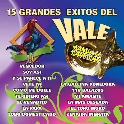 15 Grandes Exitos del Vale's cover