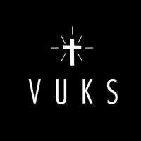 Pedro Vuks's avatar cover