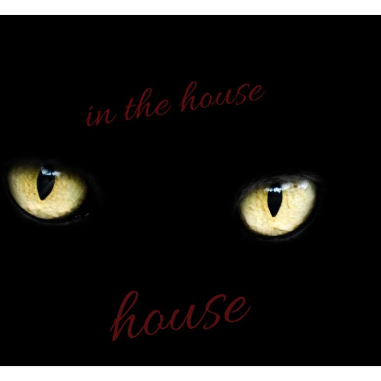 House's avatar image