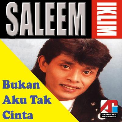 Saleem Iklim's cover