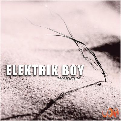 ELEKTRIK BOY's cover