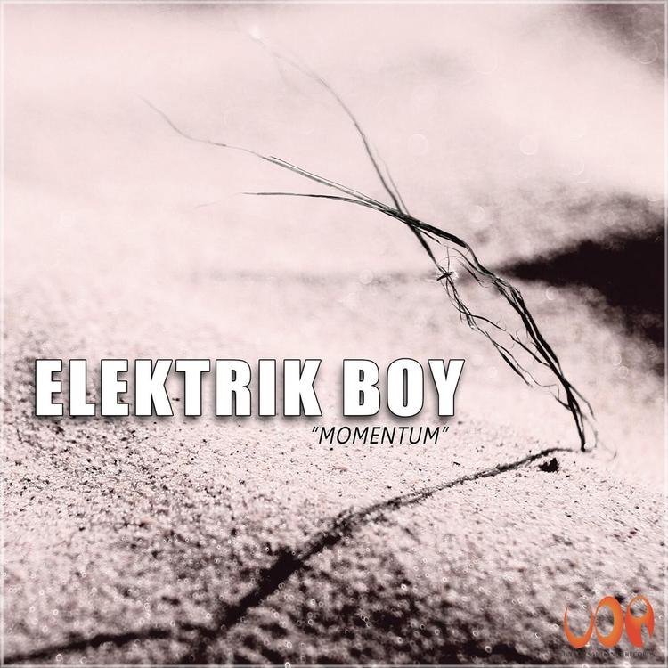 ELEKTRIK BOY's avatar image