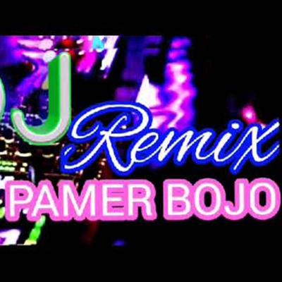 Pamer Bojo Remix's cover