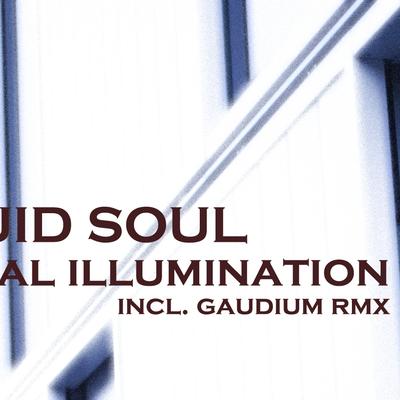 The Source By Liquid Soul, Gaudium's cover