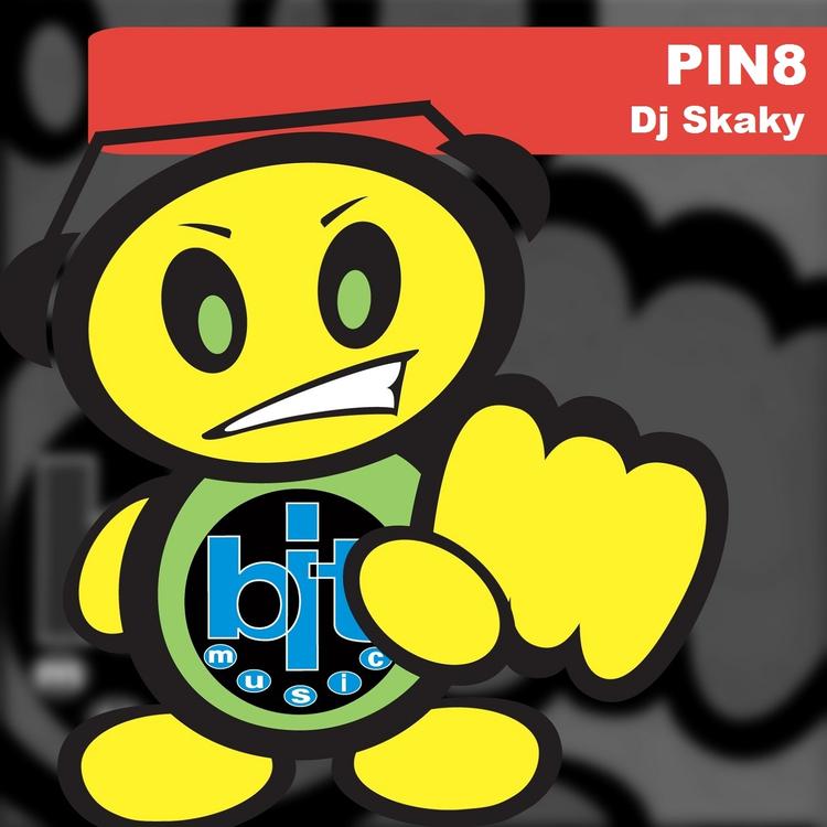 DJ Skaky's avatar image