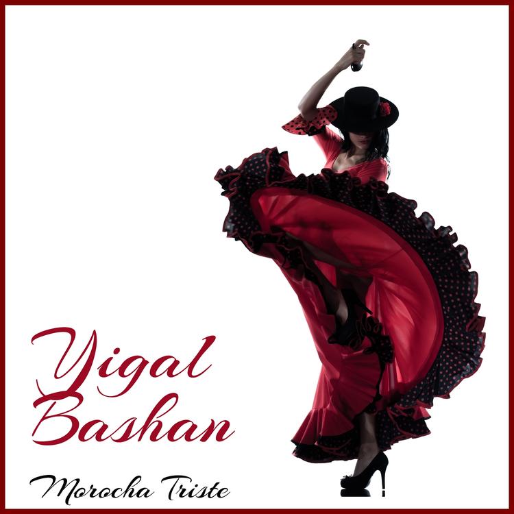 Yigal Bashan's avatar image
