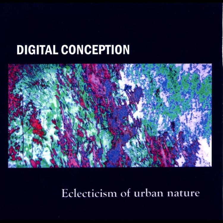 Digital Conception's avatar image