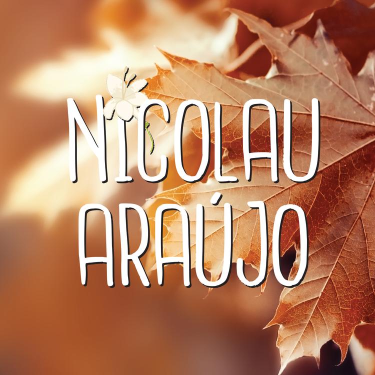 Nicolau Araujo's avatar image