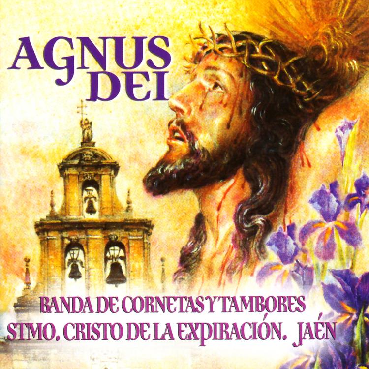 Banda de Cornetas y Tambores Stmo. Cristo de la Expiración's avatar image