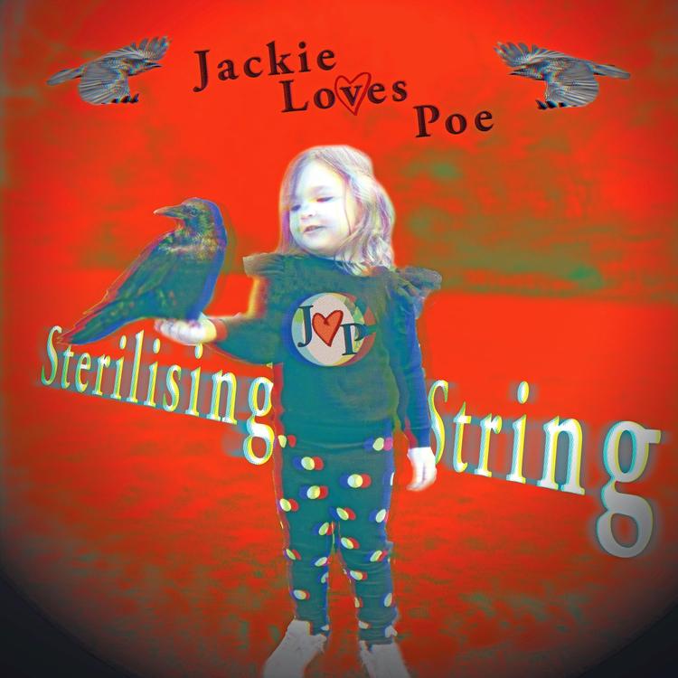 Jackie Loves Poe's avatar image
