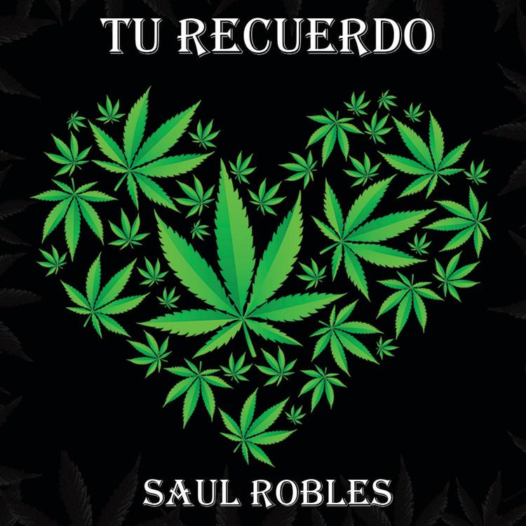 Saul Robles's avatar image