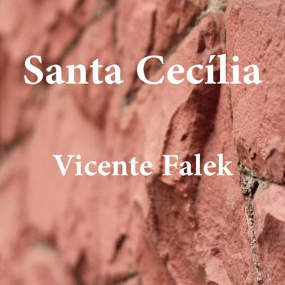 Vicente Falek's cover